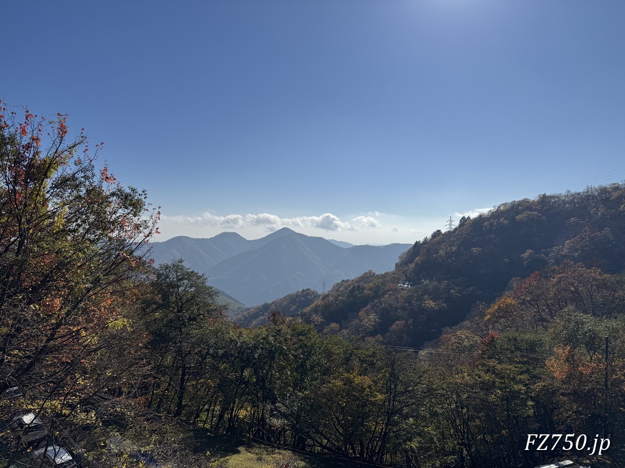 明知平付近の紅葉の様子