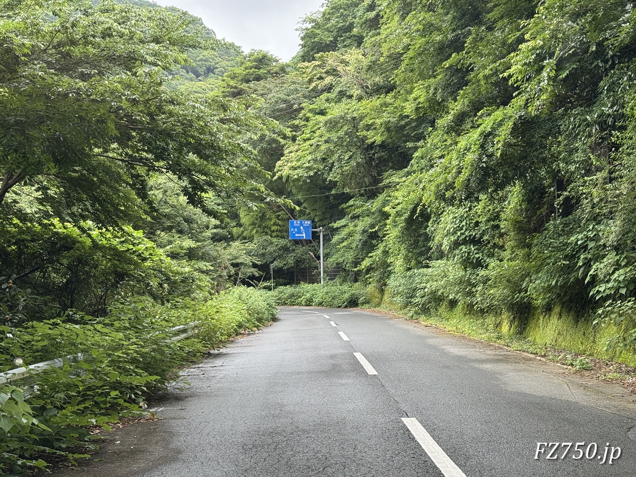 静岡県道17号は緑が多い
