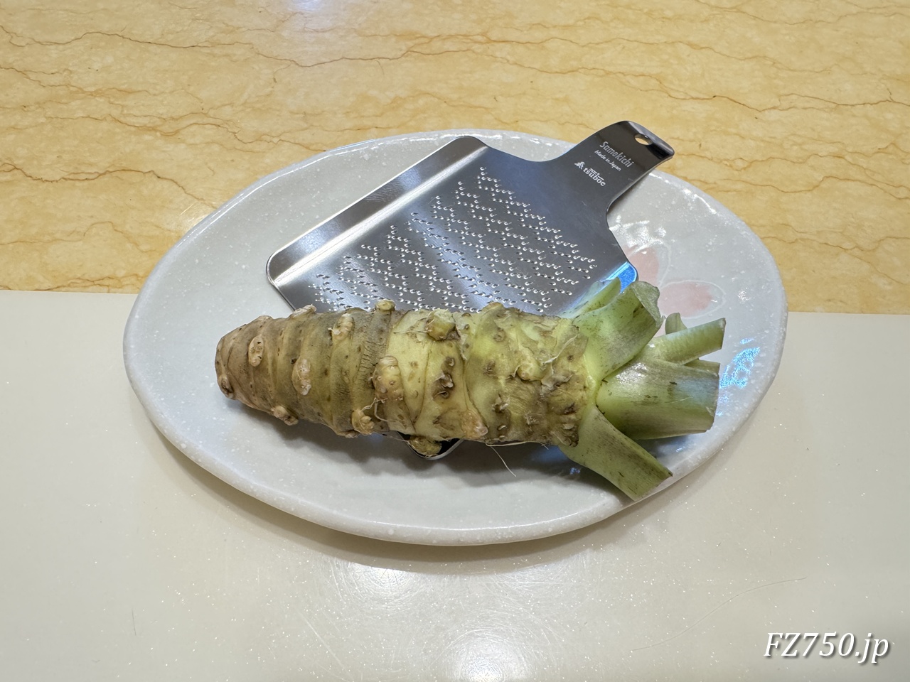 生わさびとわさびおろしサメ吉