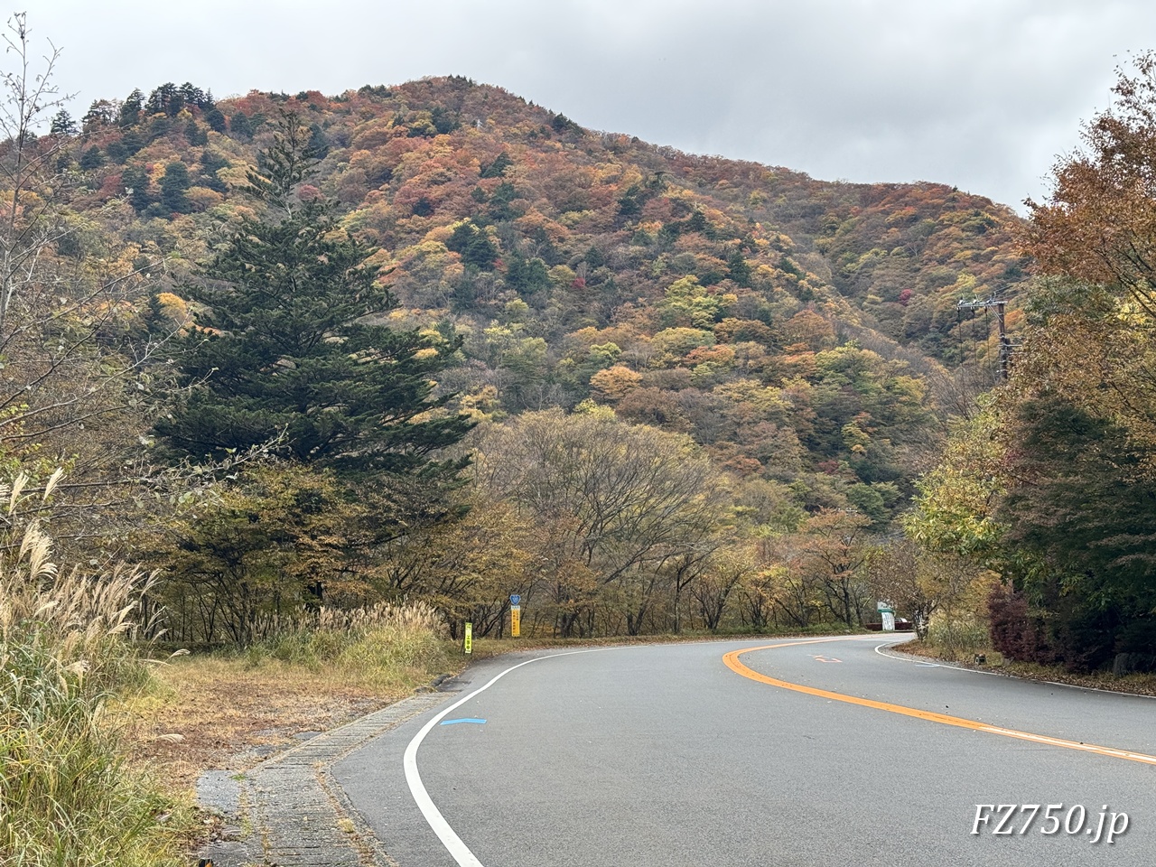 日光馬返し付近の紅葉(その1)