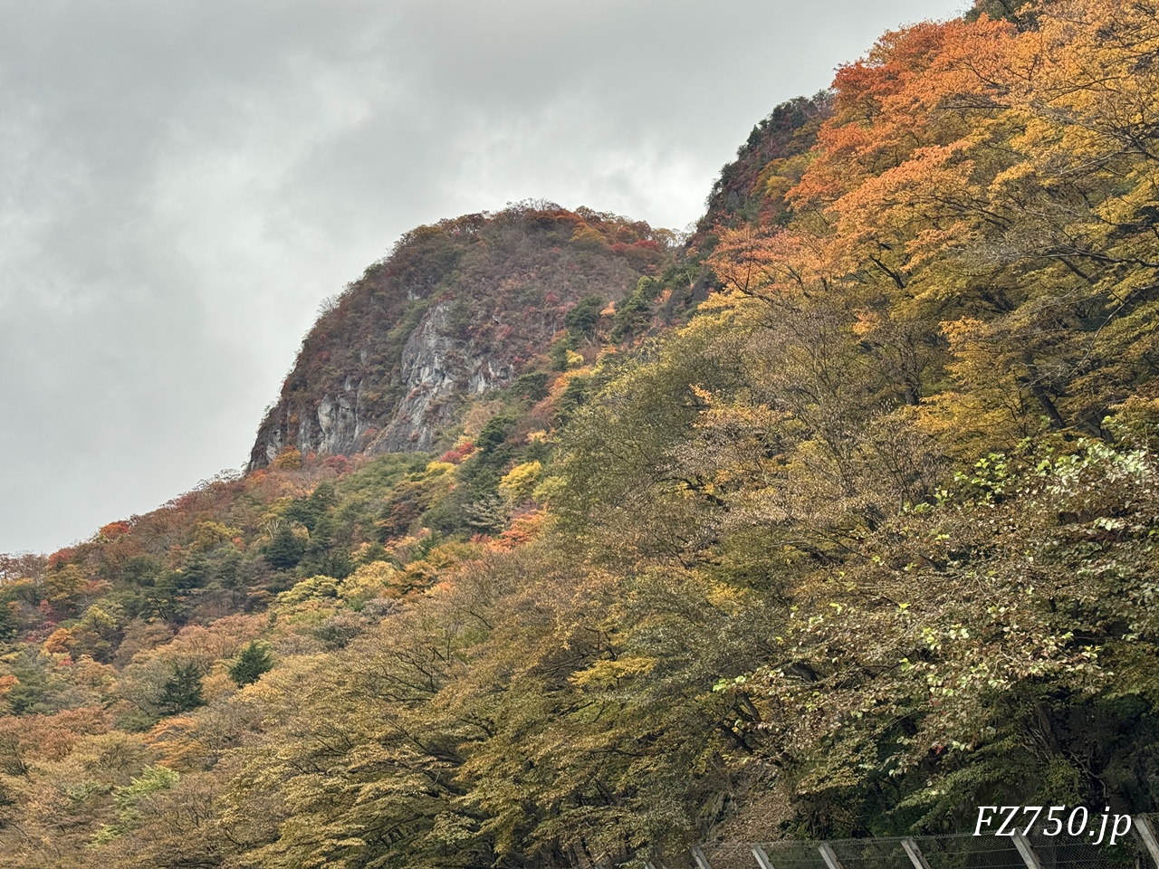 日光馬返し付近の紅葉(その2)