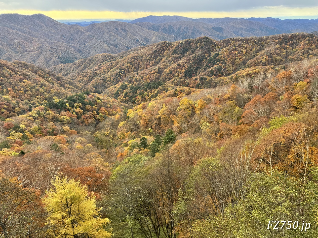 中禅寺湖展望台からの帰り道で見た絶景