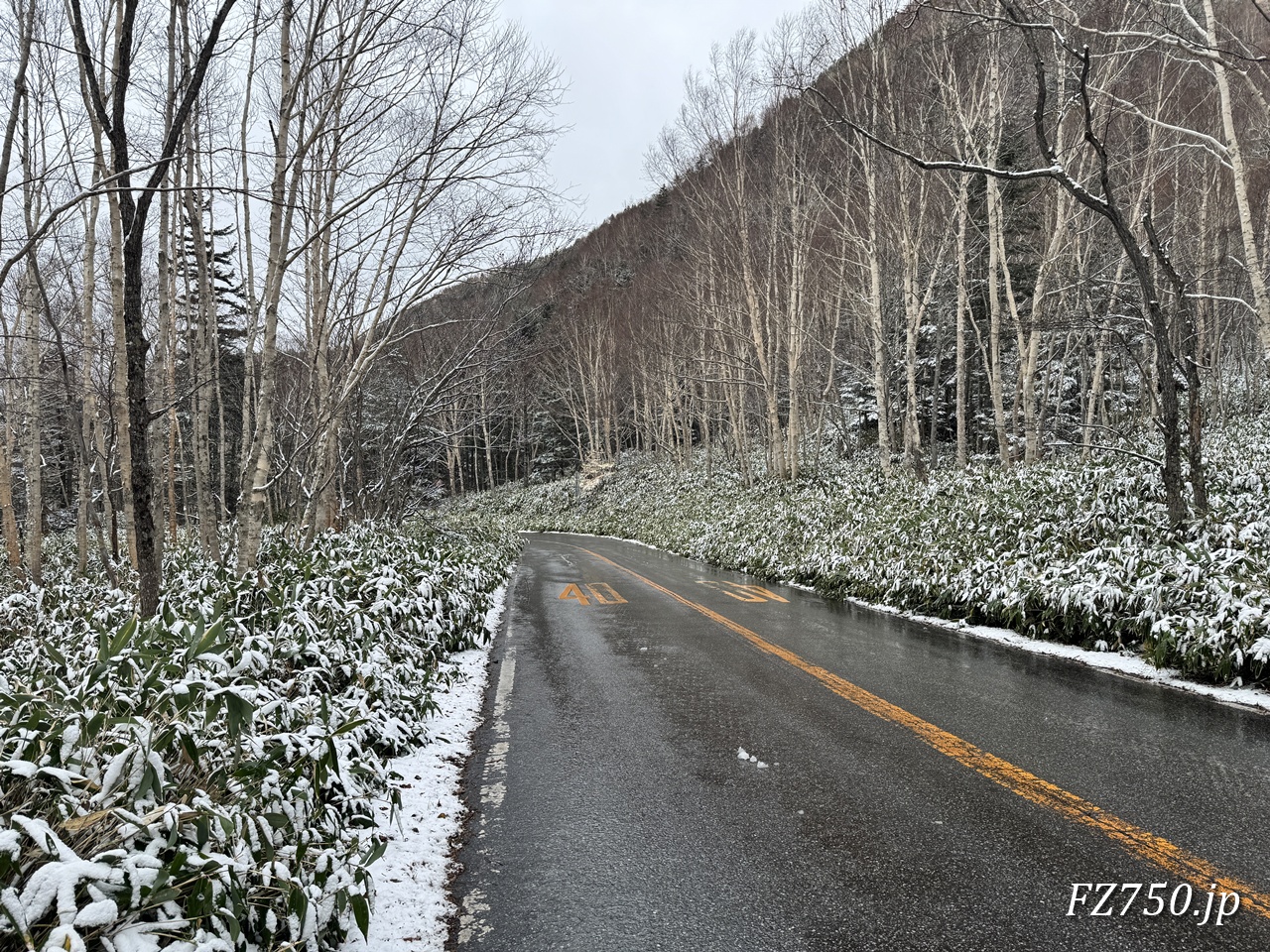 国道120号線 菅沼付近