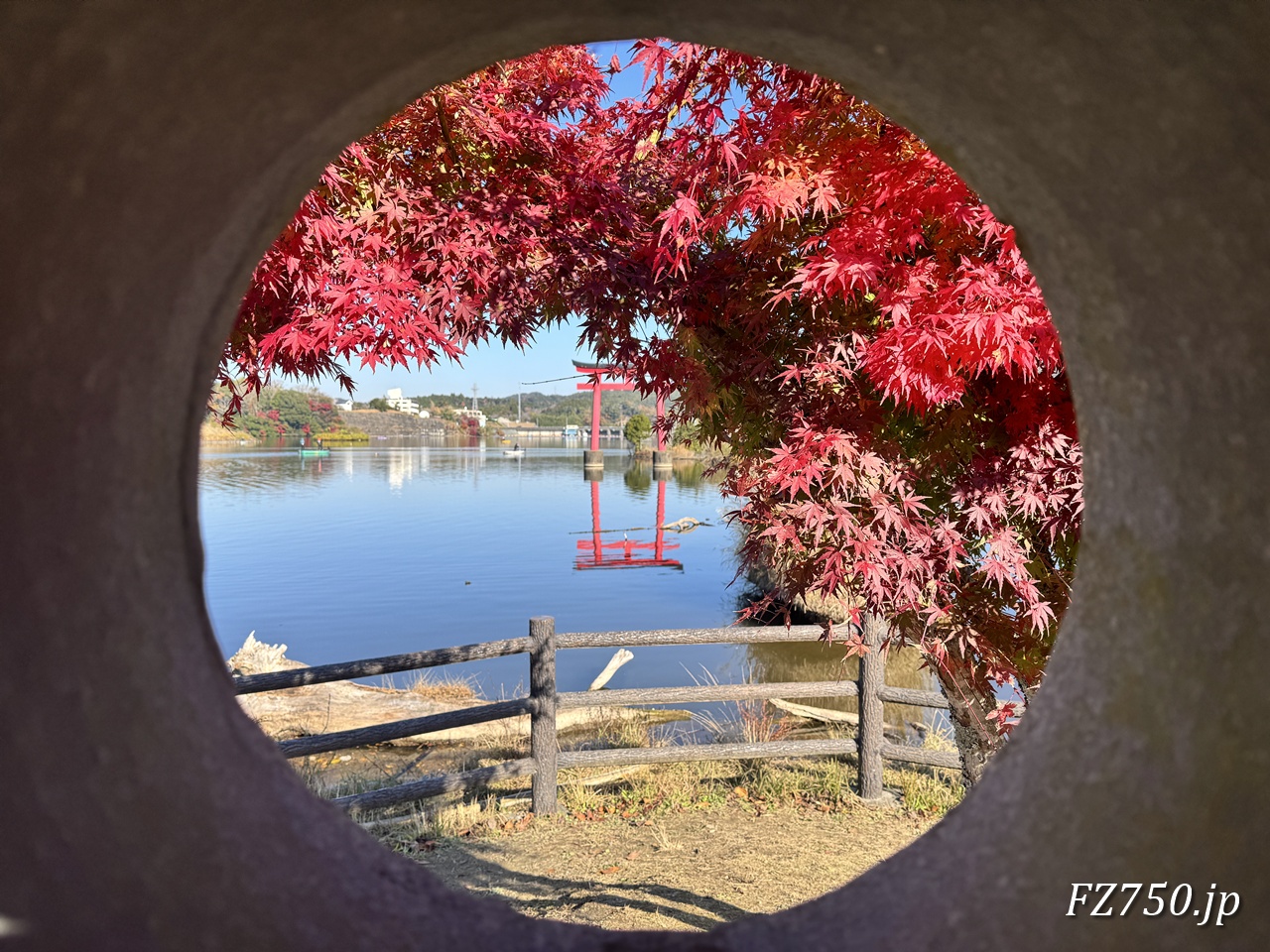 モミジの額縁越しに望む亀山湖と鳥居
