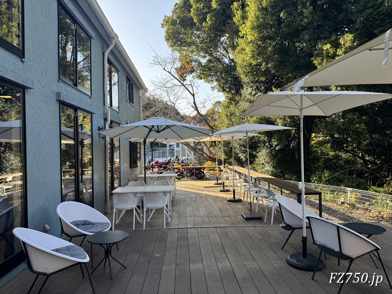 56design 本店のテラス