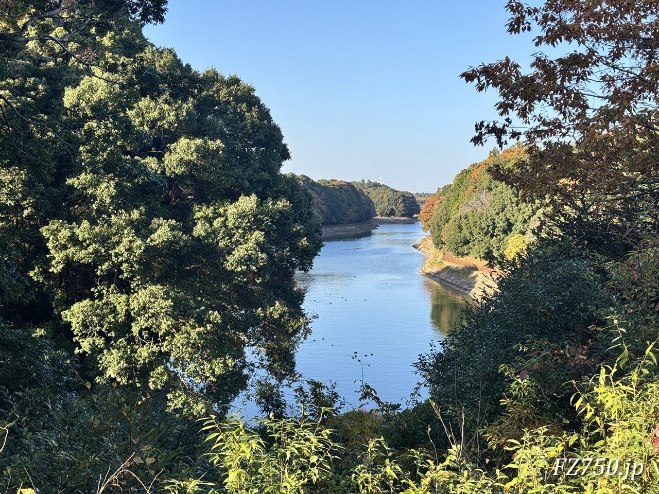 56design 本店のテラスからは、ときがね湖が見える