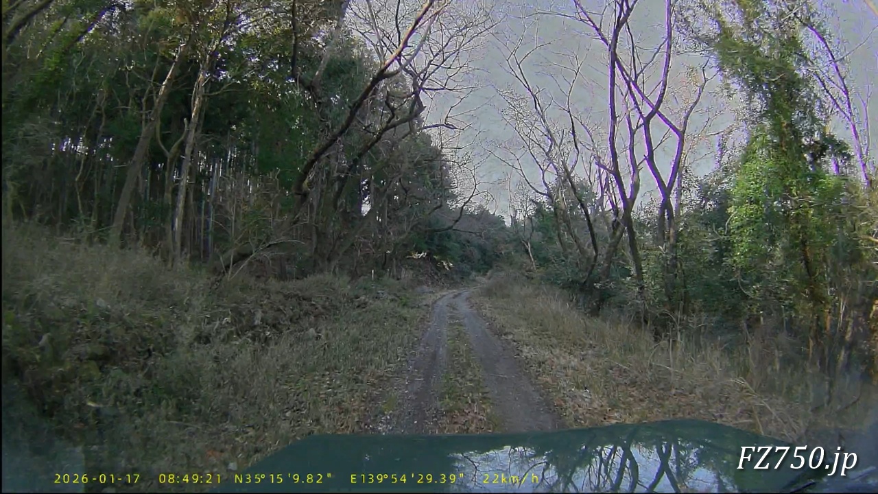 鬼涙山併用林道のダート区間