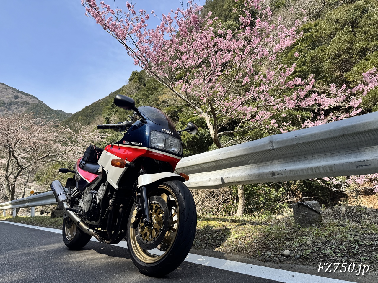 FZ750と八重桜@仁科川付近