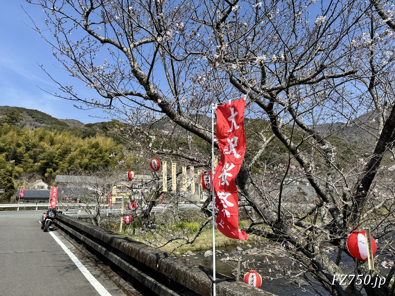 FZ750@大沢桜祭りの幟(のぼり)